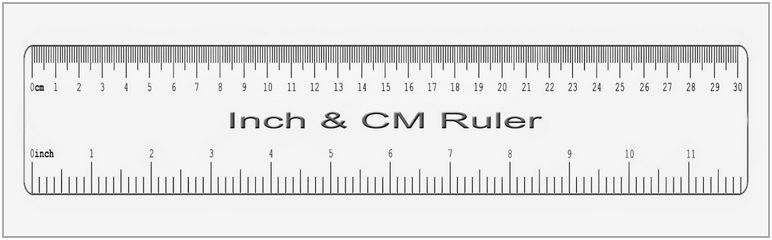 Real Size Ruler Inches